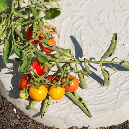 ヴィラ Endless Blue Private Club