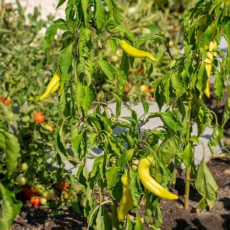 Endless Blue Private Club Villa